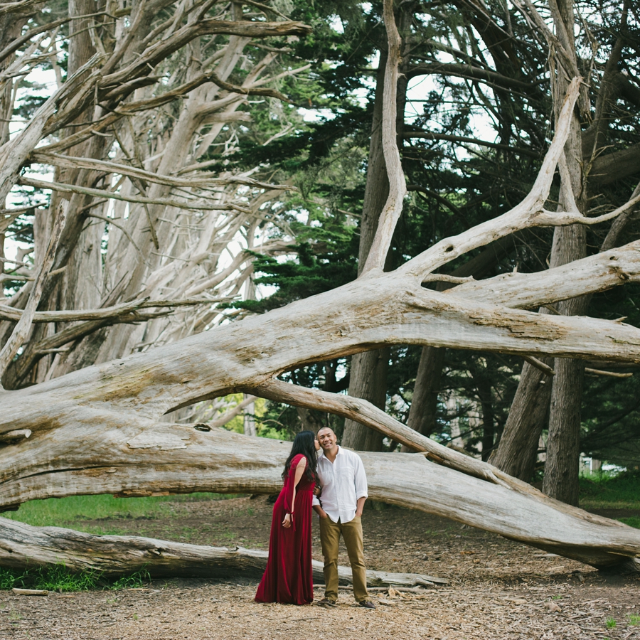 Discover the Most Stunning Bay Area Engagement Photo Locations
