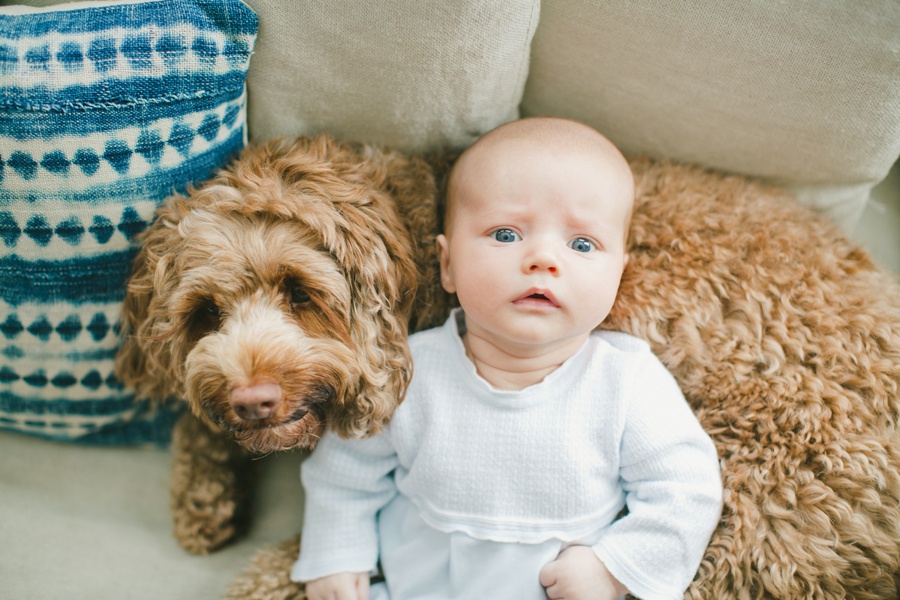 Preparing for Your Family Session