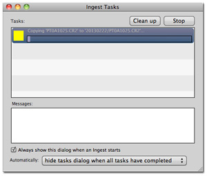 Workflow Tips