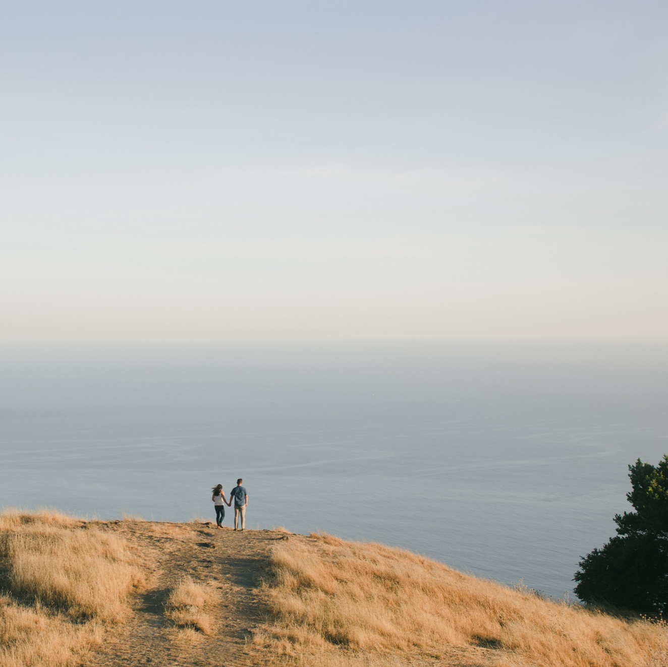 Engagement photo locations in the Bay Area, Discover the Most Stunning Bay Area Engagement Photo Locations