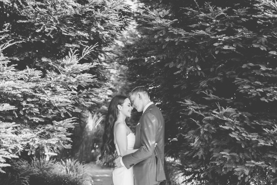 Barn at harrow cellars - napa wedding photographer