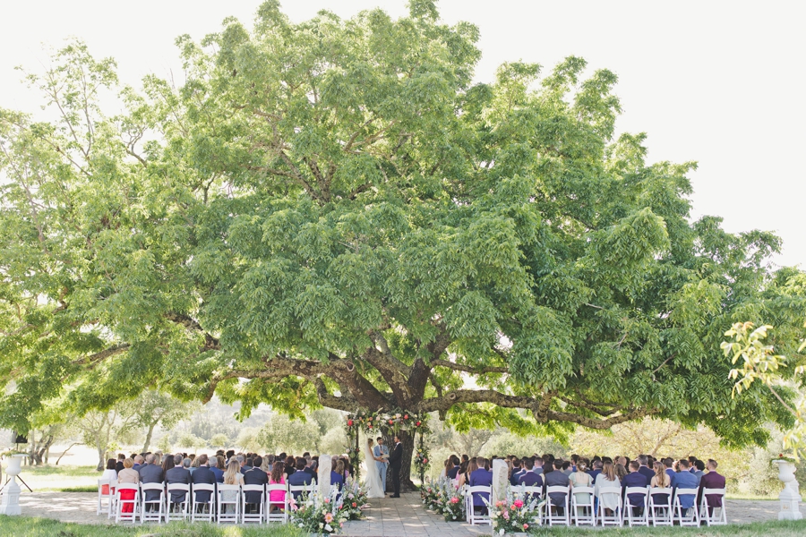 A large tree with wedding guests seated underneath