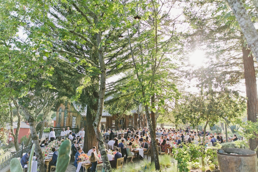 large outdoor reception under trees at sss Ranch in Napa