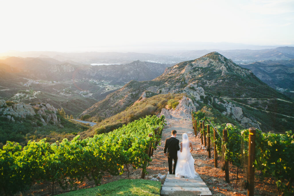 A bride and groom walk down a stone path through a vineyard, green hills and mountains glowing at sunset—a scene that highlights why couples often wonder about Bay Area wedding photographer cost for moments like this.