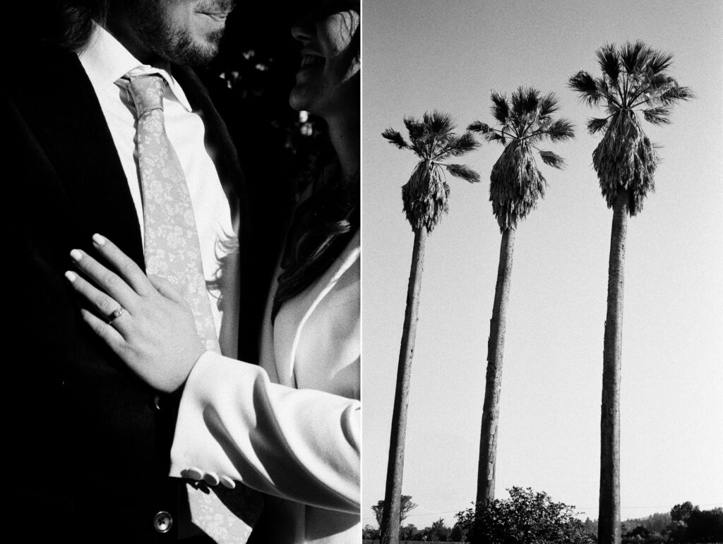 A split image shows a couple dressed formally, with one person displaying a ring, and three tall palm trees against the sky.